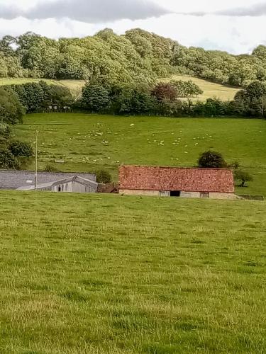 From Blackford Road.