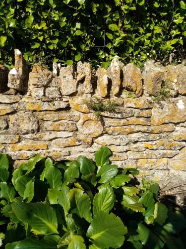 Seen in wall at Middle Farm.