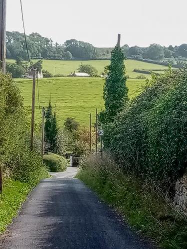View from top of Gunville Lane.