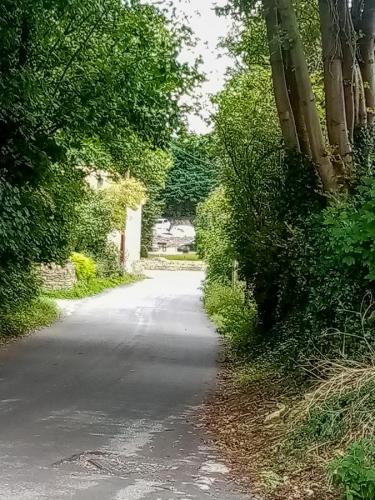From Harvest Lane to centre of village.
