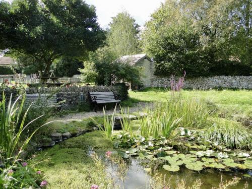Bench on which to sit and enjoy the pond life.