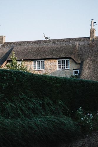 Detail of thatch roof with cat ornament or 'dolly'.
