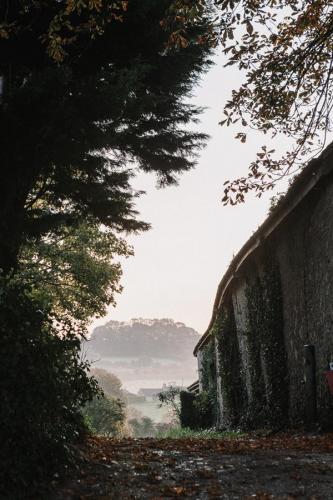 View towards Charlton Gorse from village centre. 