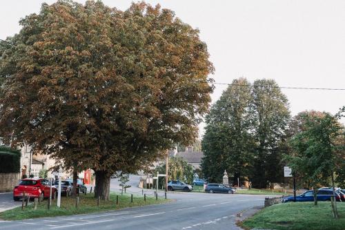 One of the 4 mature chestnut trees in centre of village on green outside village pub.