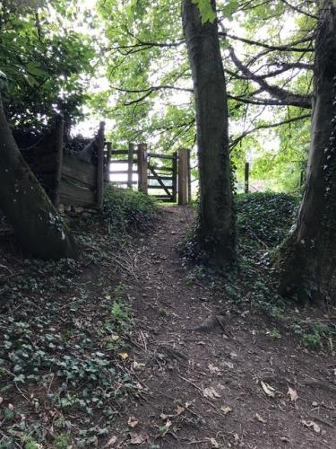 Footpath off Cathill Lane.
