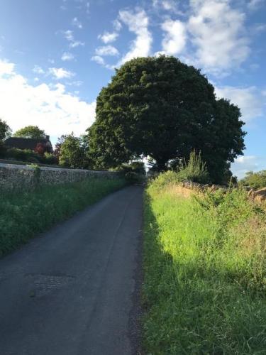 Towards Golden Valley Farm.