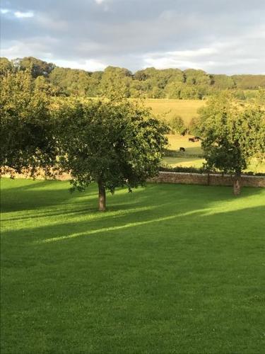 Looking towards Golden Valley.