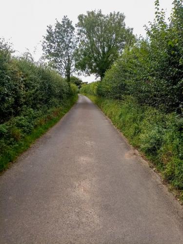 From North Road towards Harvest Lane.