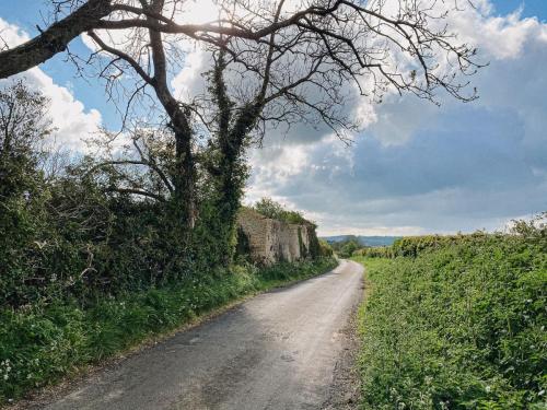 Possible bat habitat & other wildlife 